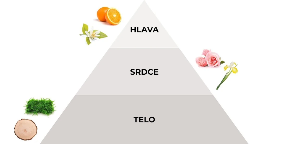 Pyramída vôní parfumovaného spreju Talco